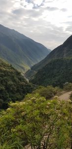 La Amazonia peruana y la ley antiforestal Karlo Grados