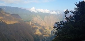 La Amazonia peruana y la ley antiforestal Karlo Grados