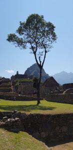 ¿Fiestas Patrias para Todos? Orgullo Nacional vs. Discriminación Estructural en el Perú Karlo Grados La realidad peruana