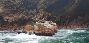 ¿Fiestas Patrias para Todos? Orgullo Nacional vs. Discriminación Estructural en el Perú Karlo Grados La realidad Peruana