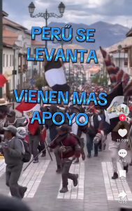 Destitución de Dina Boluarte: ¿una salida necesaria ante corrupción, muertes y discriminación? Karlo Grados La realidad peruana