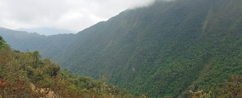 La Amazonia peruana y la ley antiforestal Karlo Grados